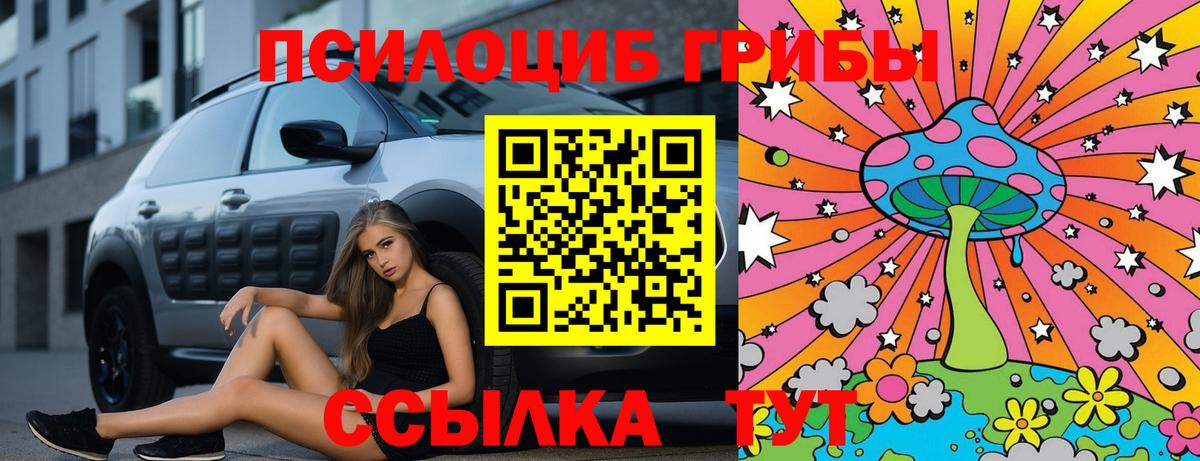 Омск  Псилоцибиновые грибы Psilocybine cubensis  Вход с VPN 